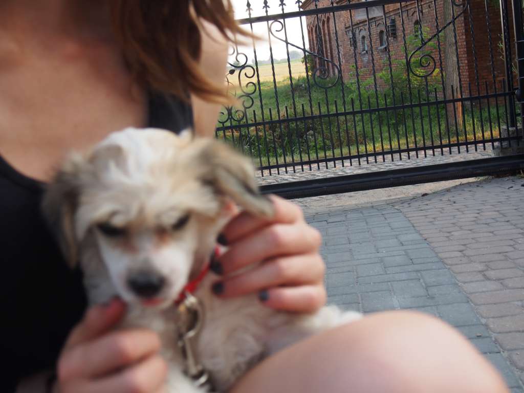 Cymonka Grzywkomania