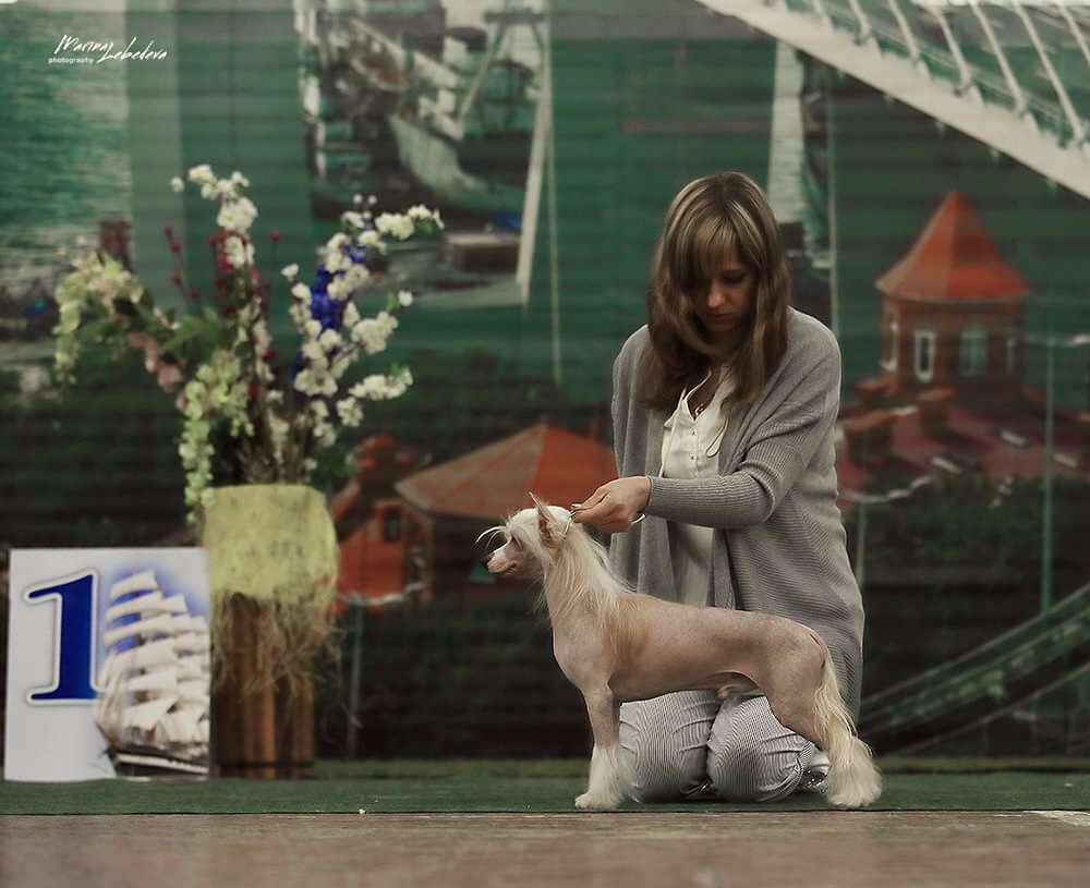 Elance Louange Nye Odori (Nice)