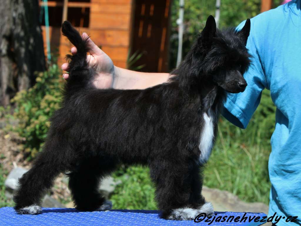 Lancelot z Jasne hvezdy