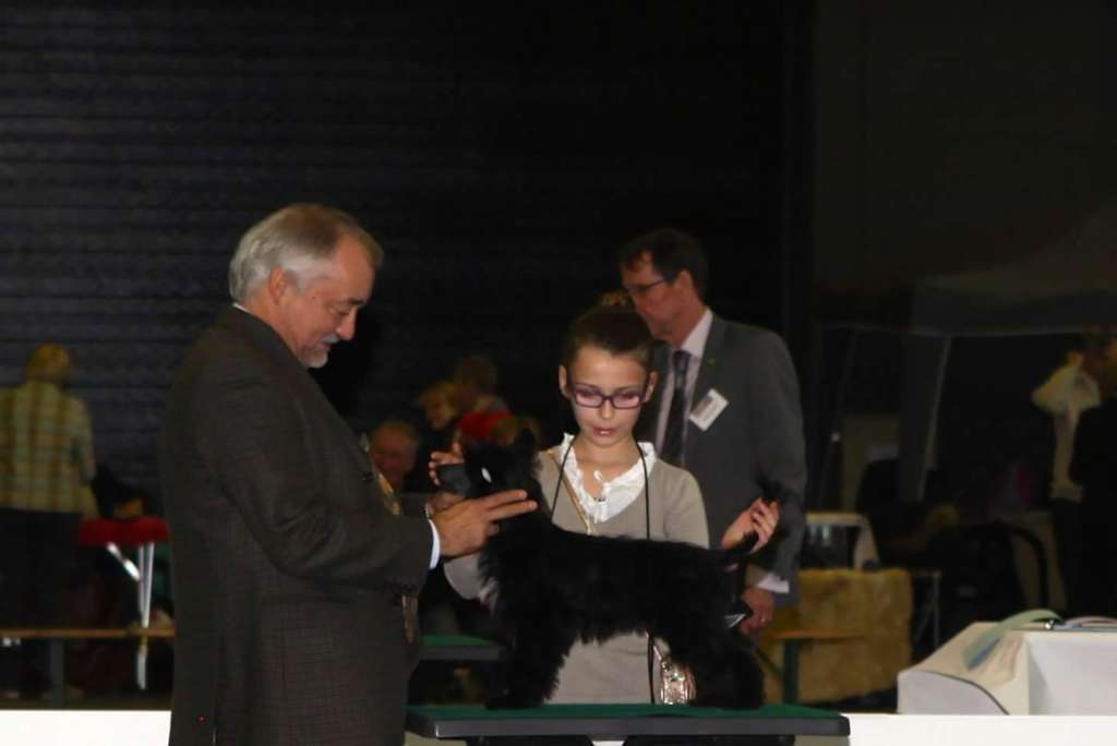 Lartiste  de L'Antre de Hôkô