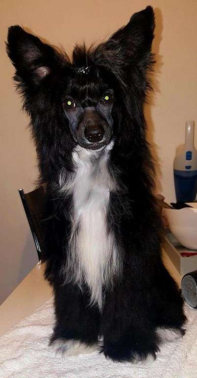 Lucky Boy de L'Antre de Hôkô