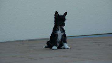 Bohemian Rhapsody von Natelberg