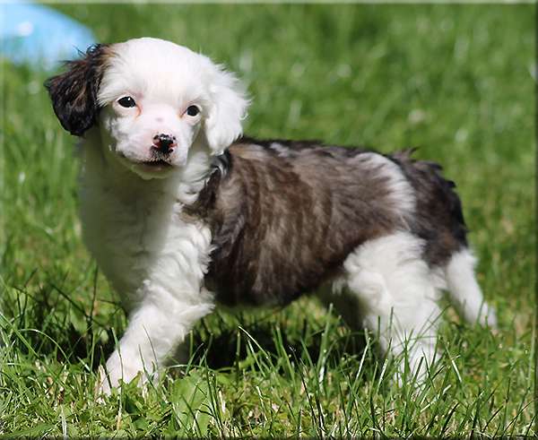 Marachinos Unique Fashion