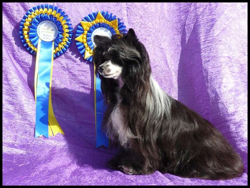 Jina des Diamants Impériaux