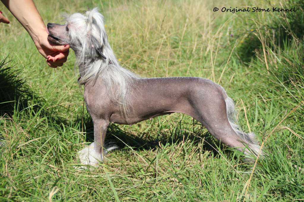 Original Stone Look At Me