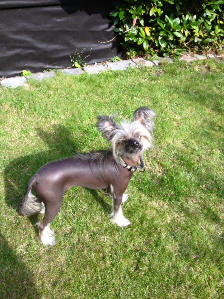 Jacinda Spiritual Heaven