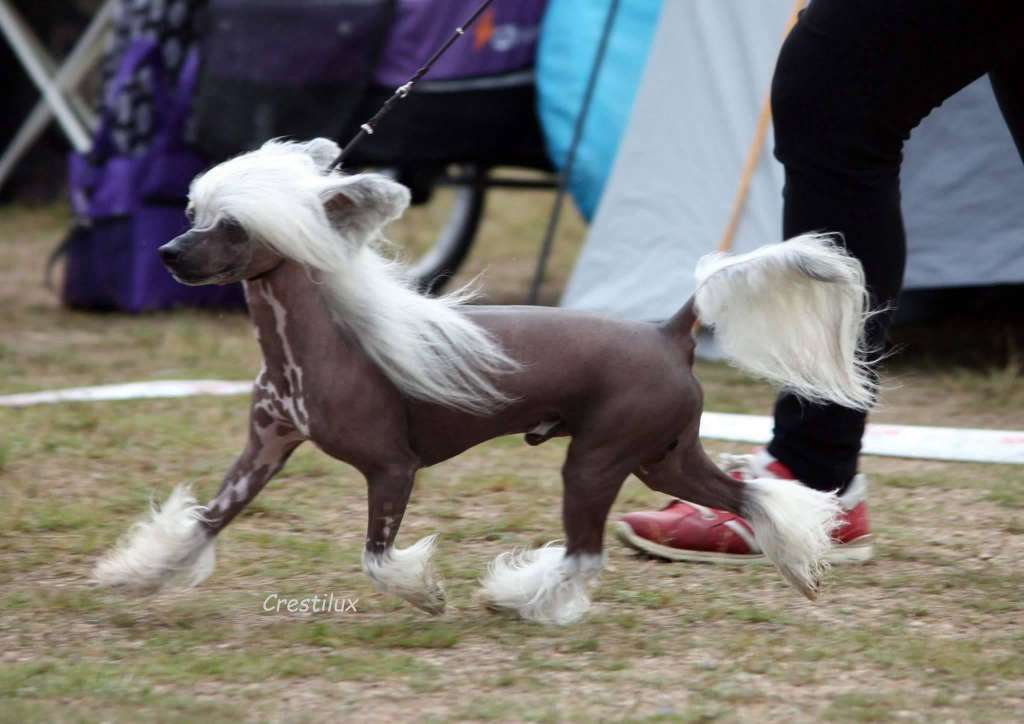 Twice as Nice Size Matters