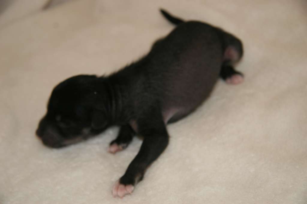 Almost Unplagged Live