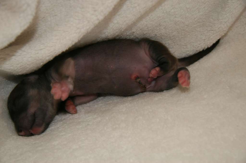 Another Day In Paradise