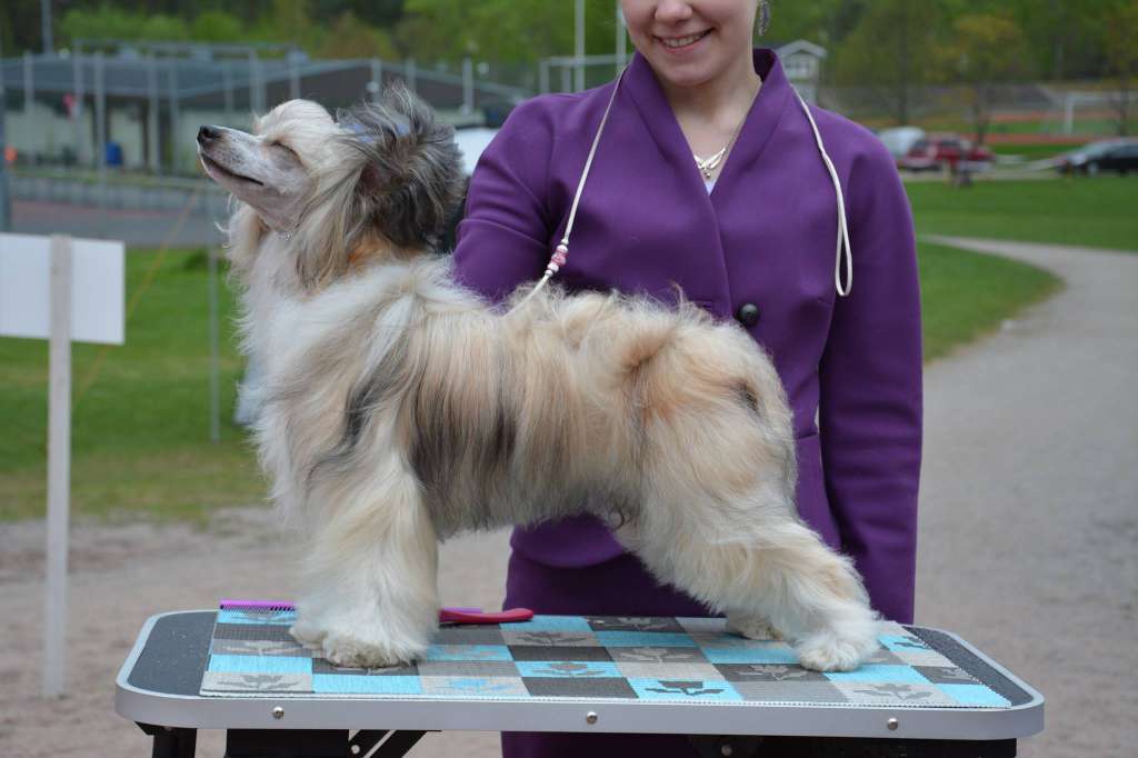 Curlesque's Treat Me Like A Star