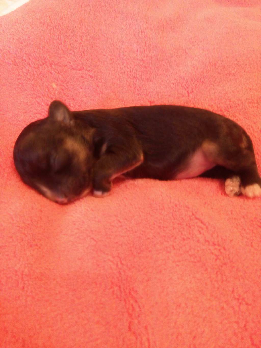 Be Like A Tornado Next Gerardesky