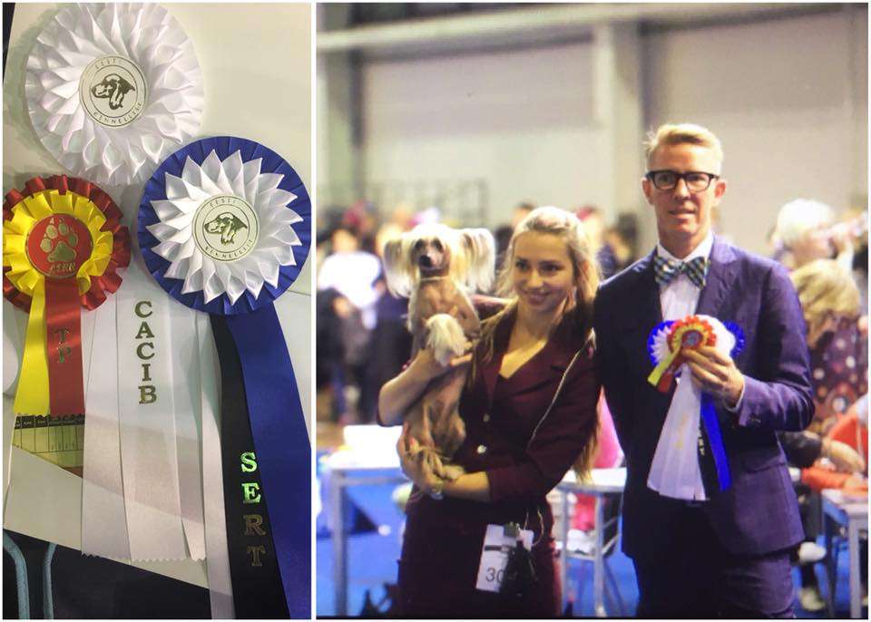 Walkiria z Lowickiego Ksiestwa