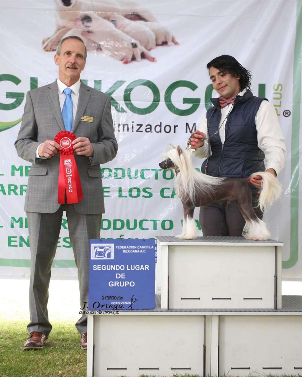 Am Ch  & Mex Ch Legion Of Dream Patrick Of Leo