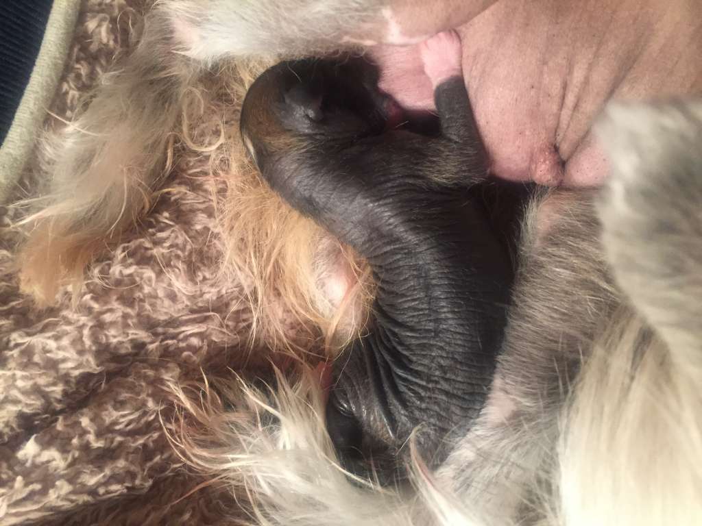 Prisonbreak's Blissful Dancer