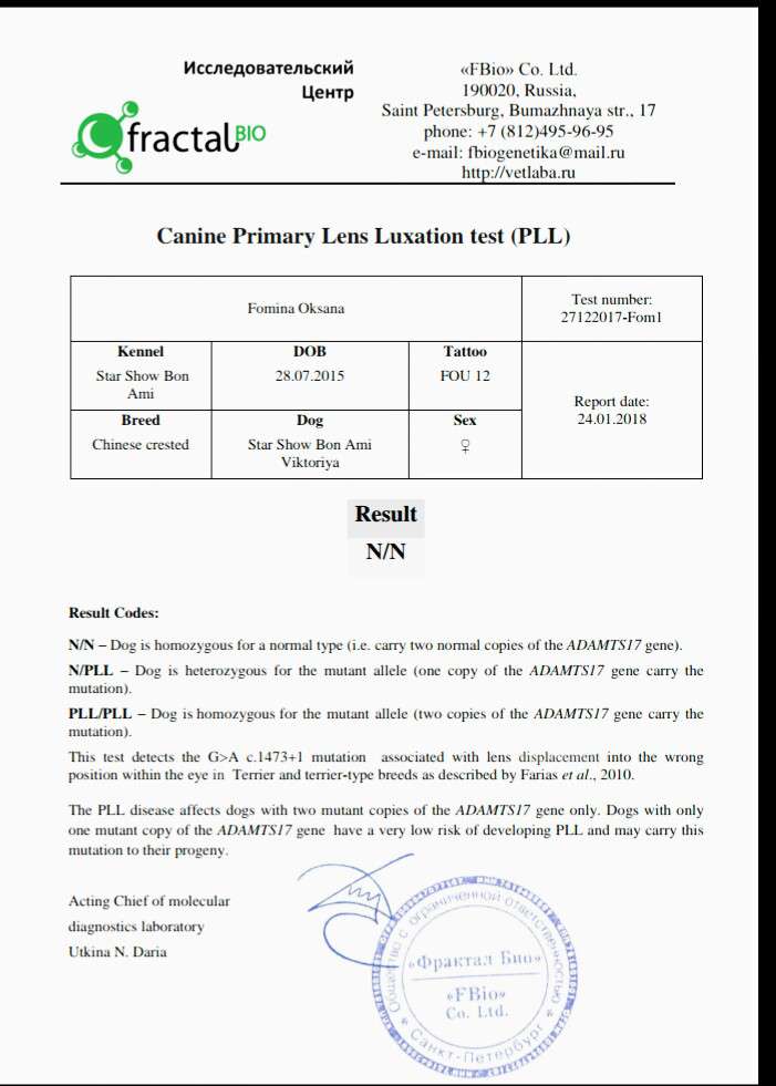 Star Show Bon Ami Victoria