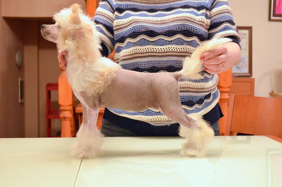 Grand Sunlife  Yukiko