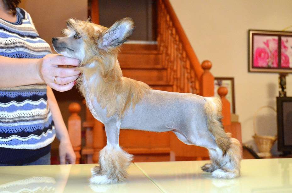 Grand Sunlife  Eugenia Yuan