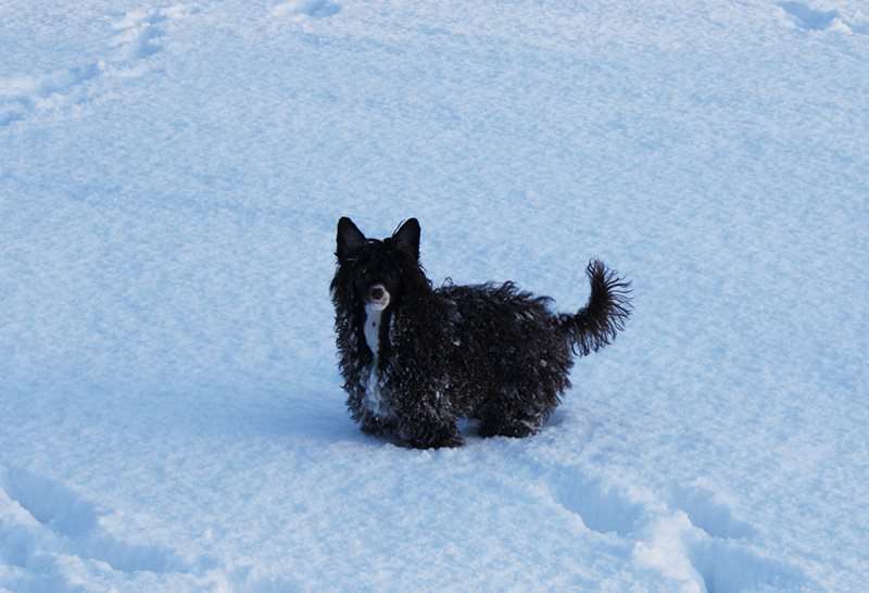 Vernisazh Mari Kristy