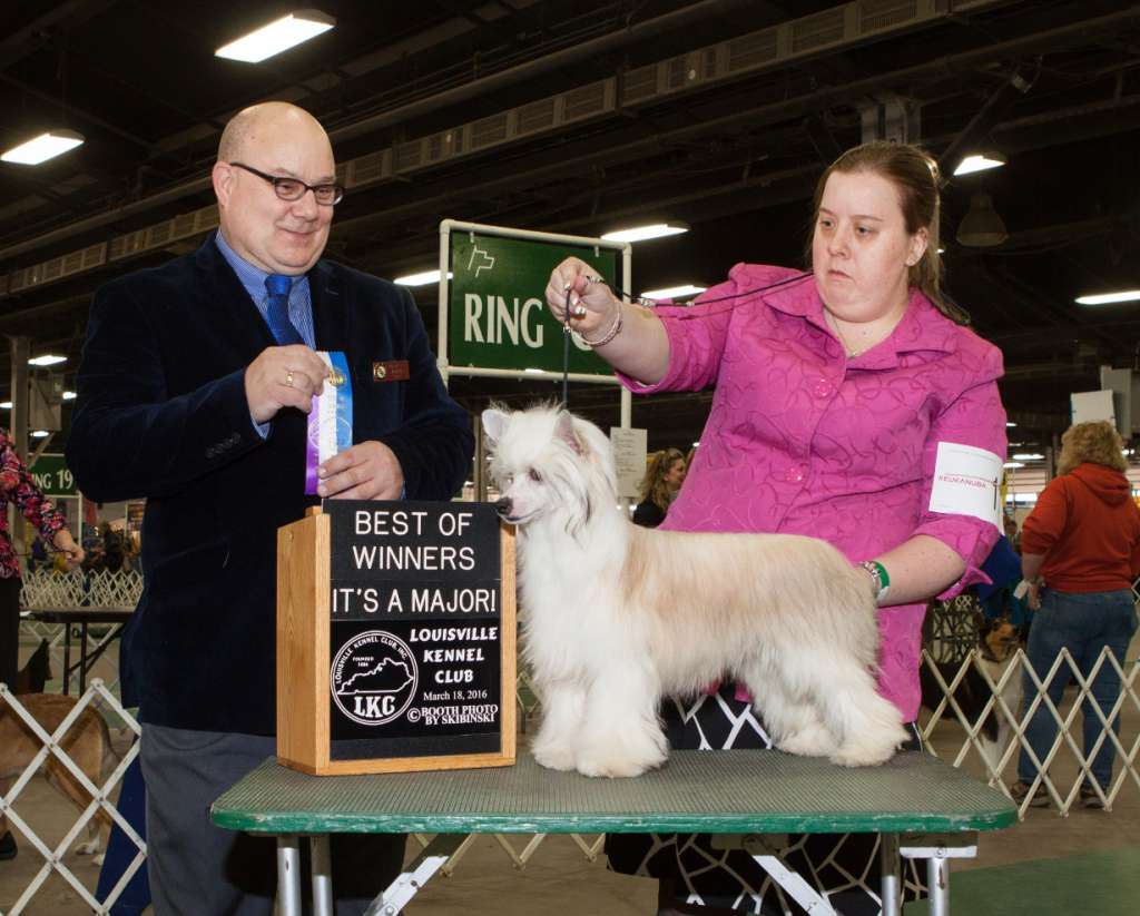 FaeryDreamer N' Les-Lee's Uptown Funk