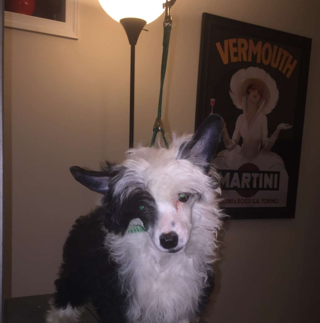 FaeryDreamer N' Les-Lee's Raise Your Glass