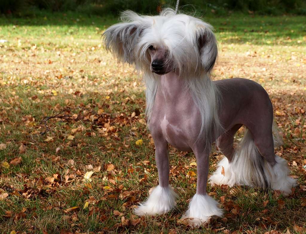 Lusiras Caught red handed