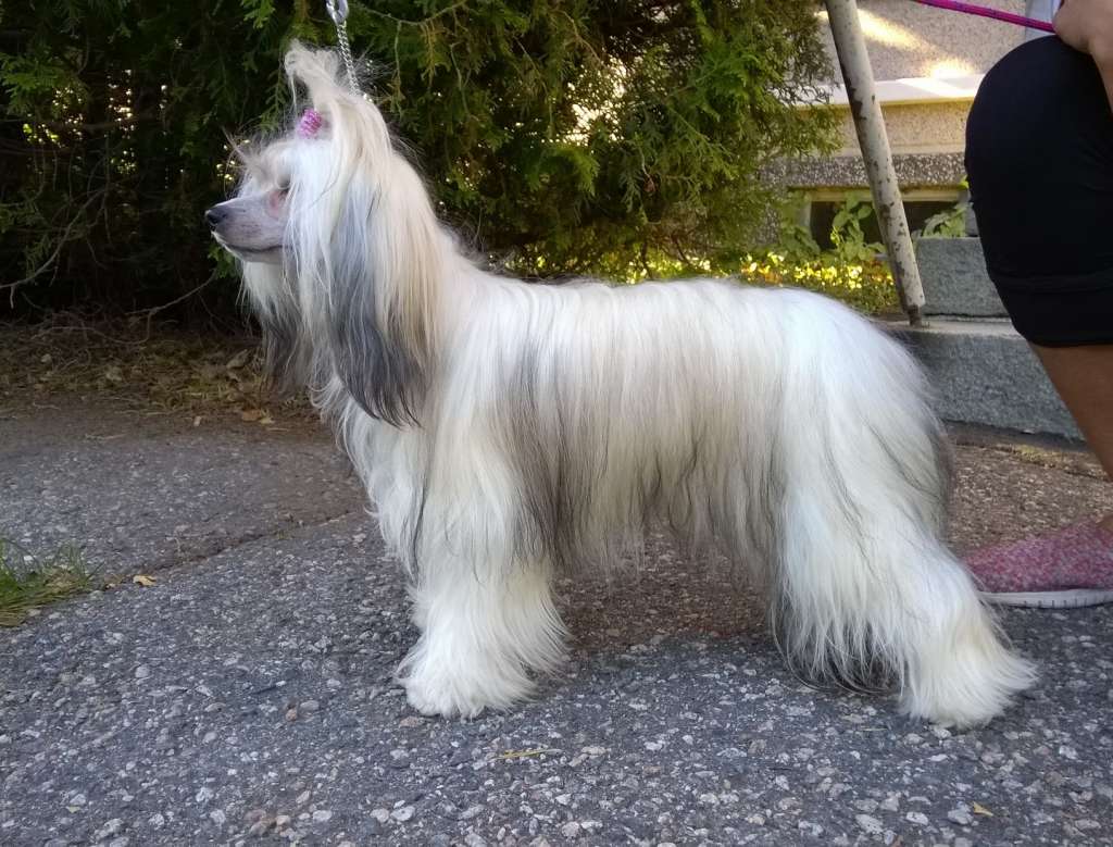 Joyway's Let The Sun Shine