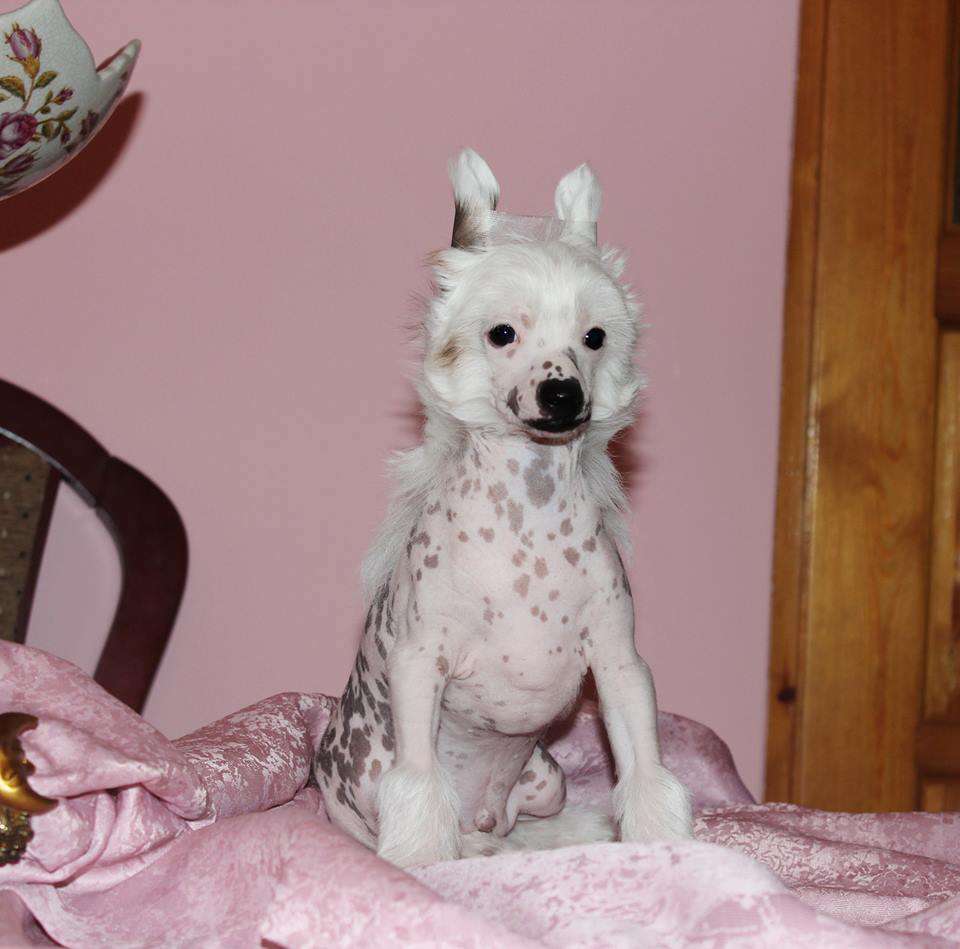 Mayami Capo Vaticano