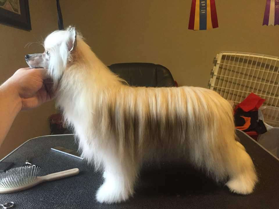 Kaylen's The Magic Of Love DOM