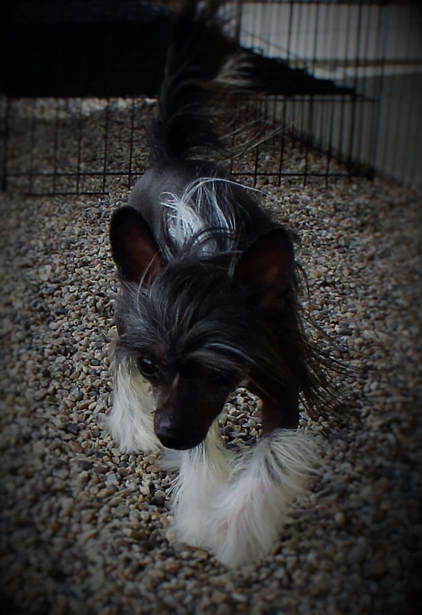 Heaven Sent's Famous Girl Next Door