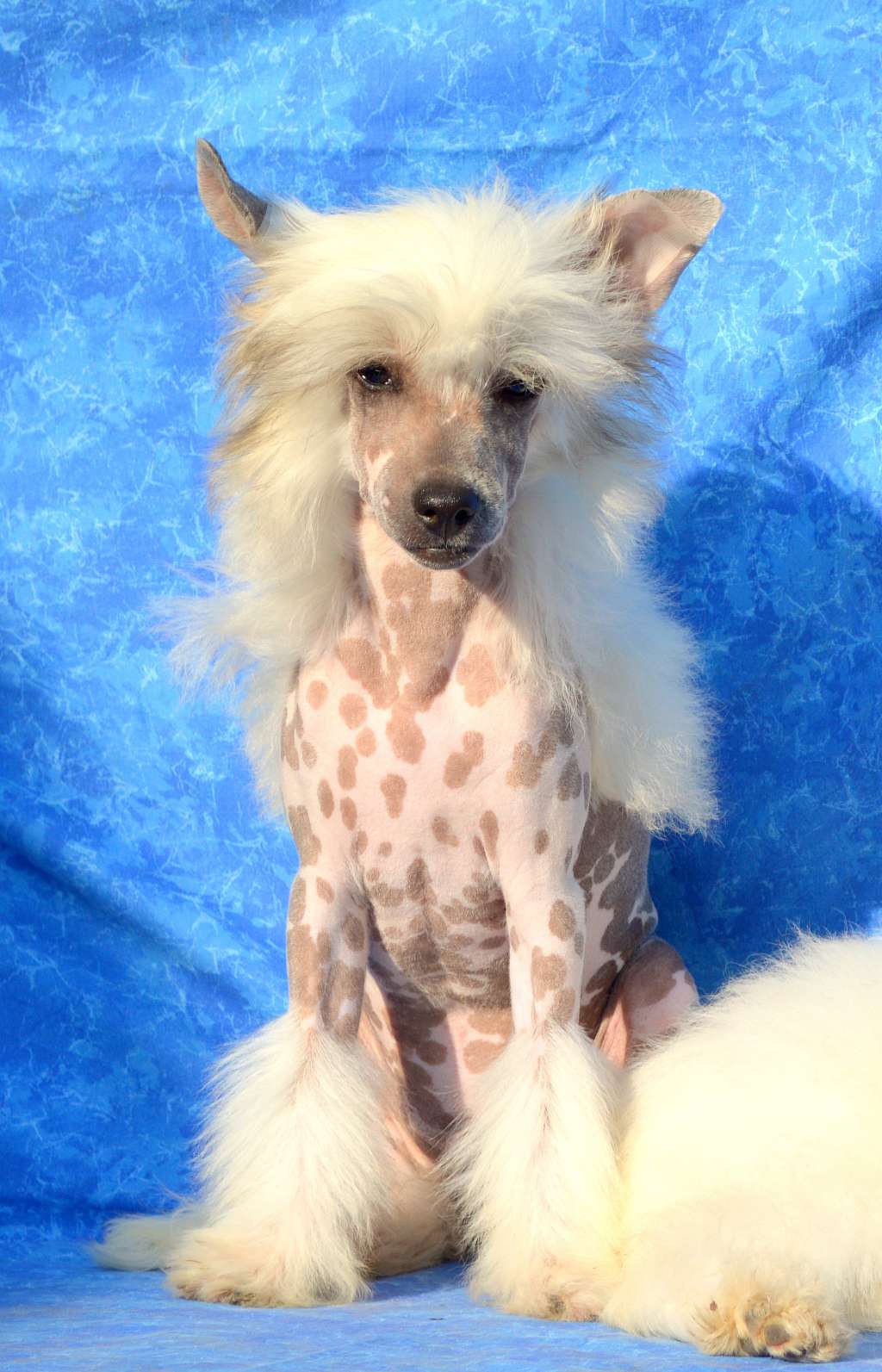 Hugo Boss z Andelovy dlane