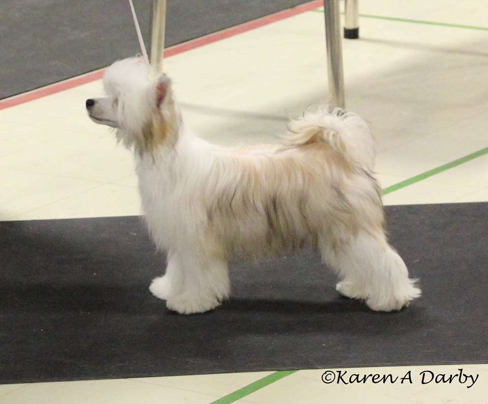 Gardine N Dunroamin Trails End