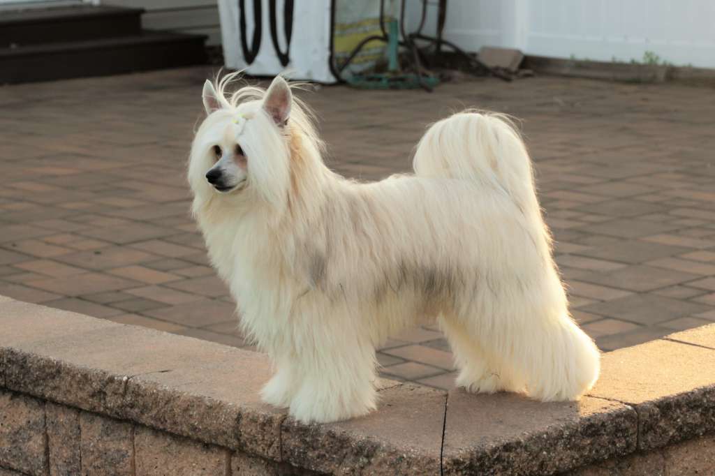 Jewels Guitars N TikiBars