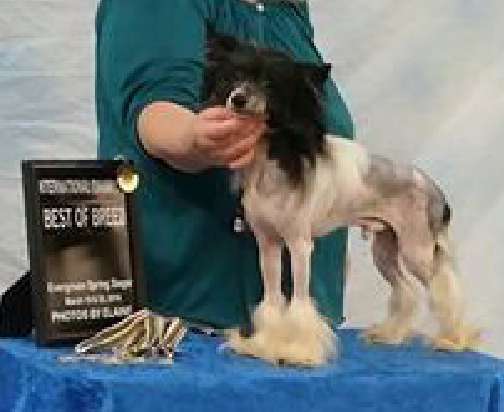 Razzmatazz Grand Slam