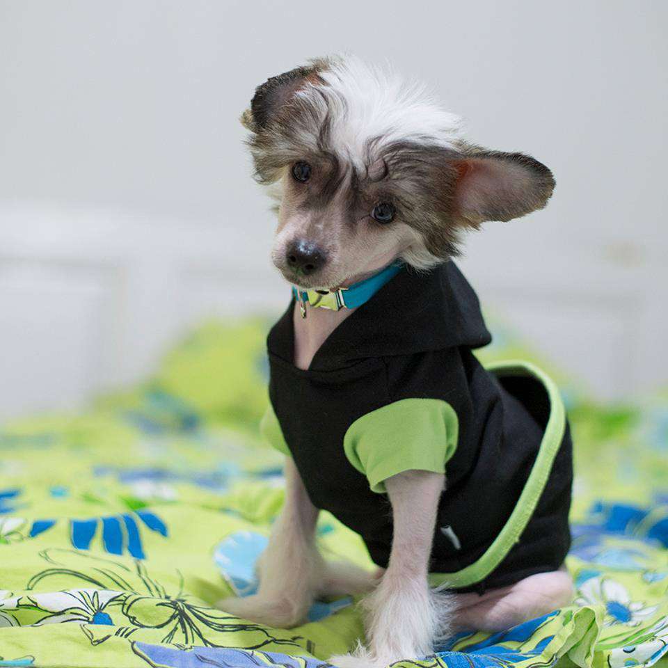 Tapi-Tapi Glamour Bling Blin