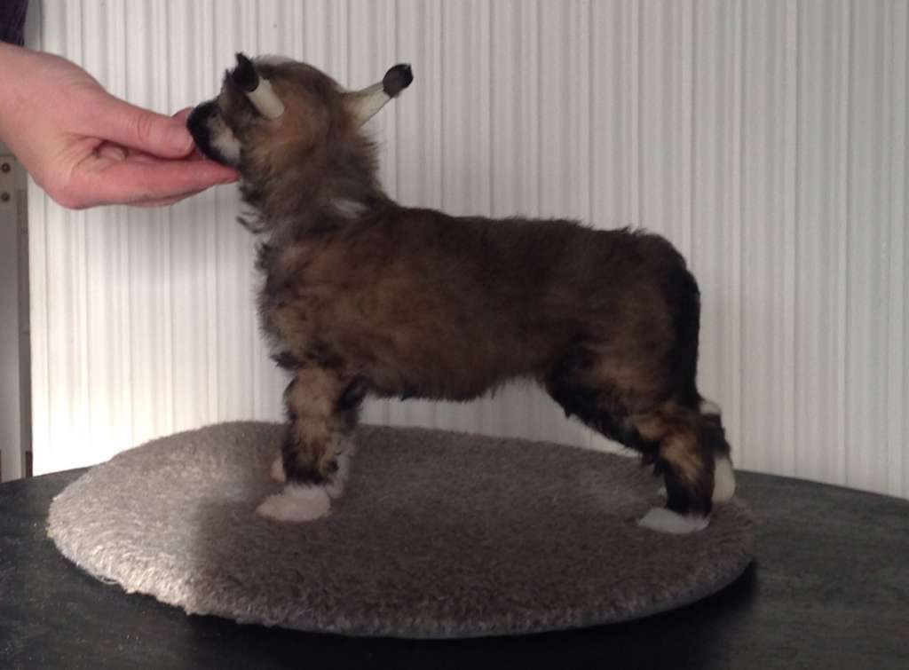 Mamres Esther is no tester