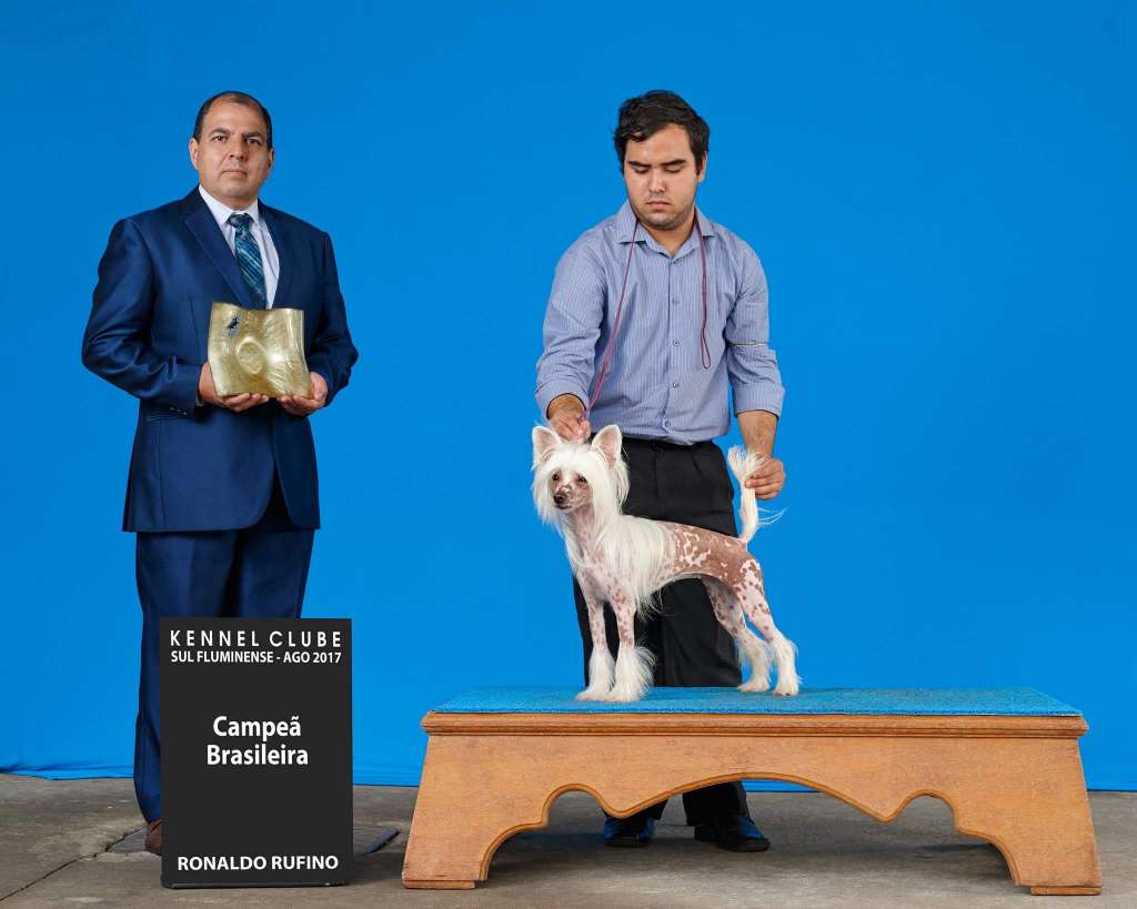 Hl Cecília of Avalon Land