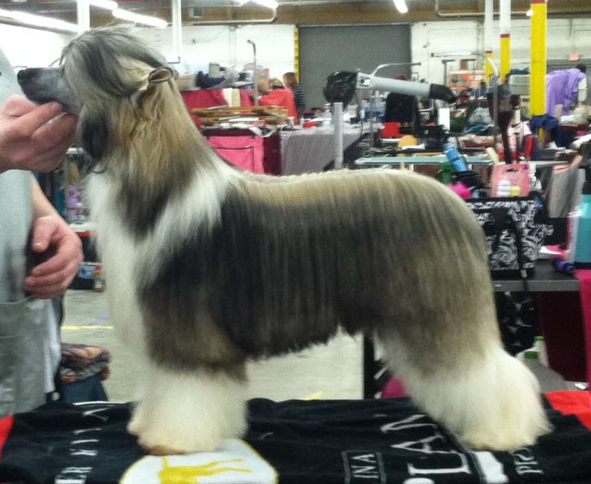 Sekhara Blue Denim Soul