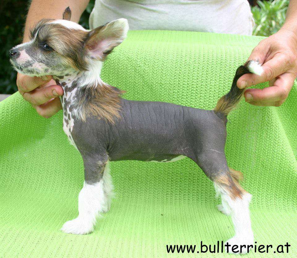 Laureola's Xclusive Design