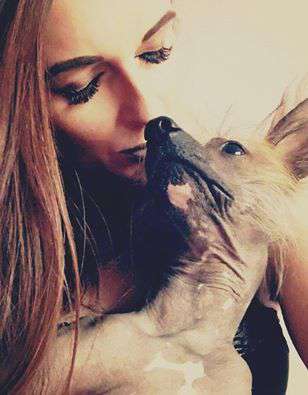 Ungaro Exotic World FCI