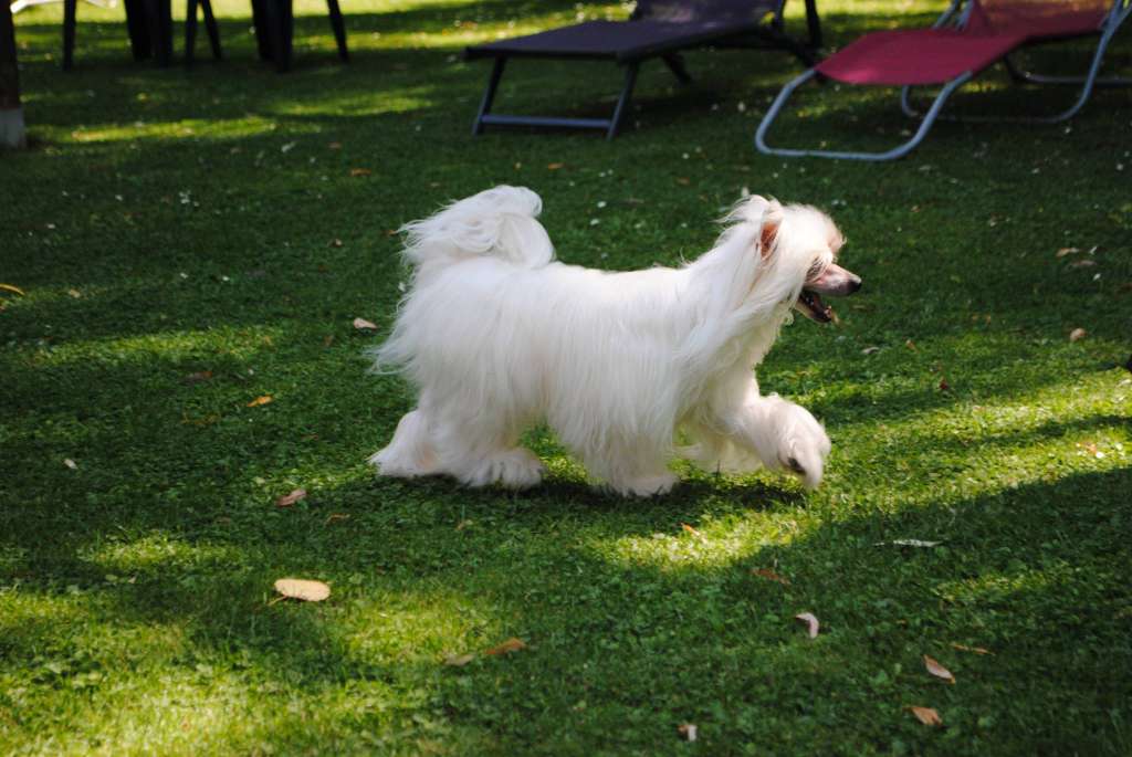 Nashka Top Model de Rama