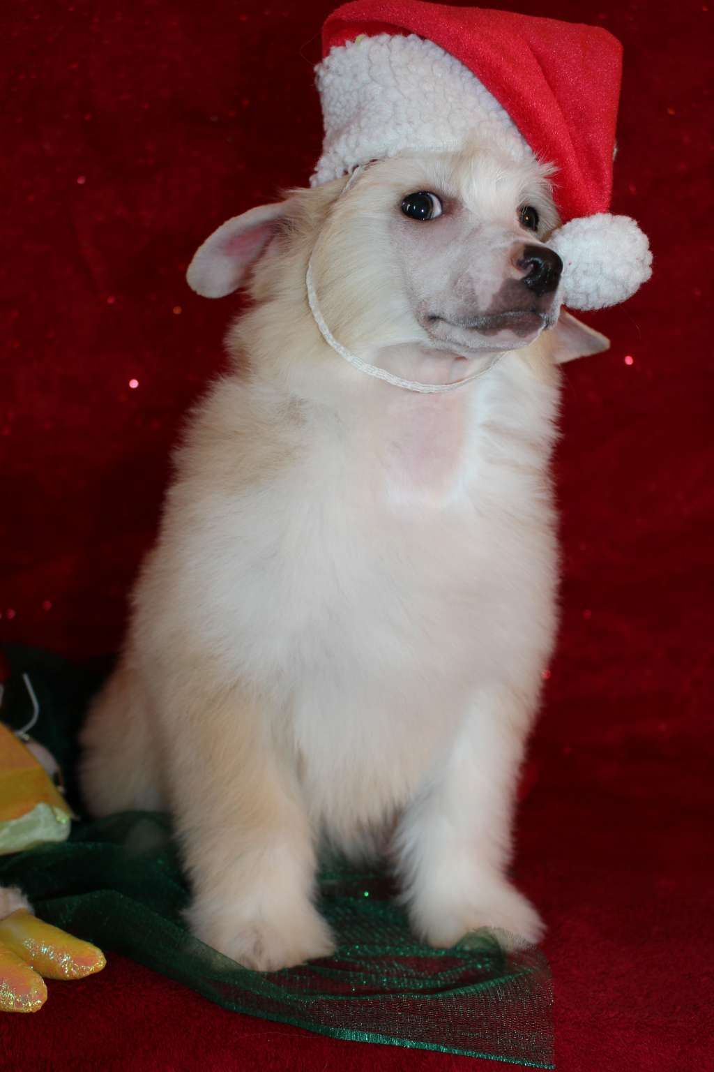 Ocean of Love de Fageiro