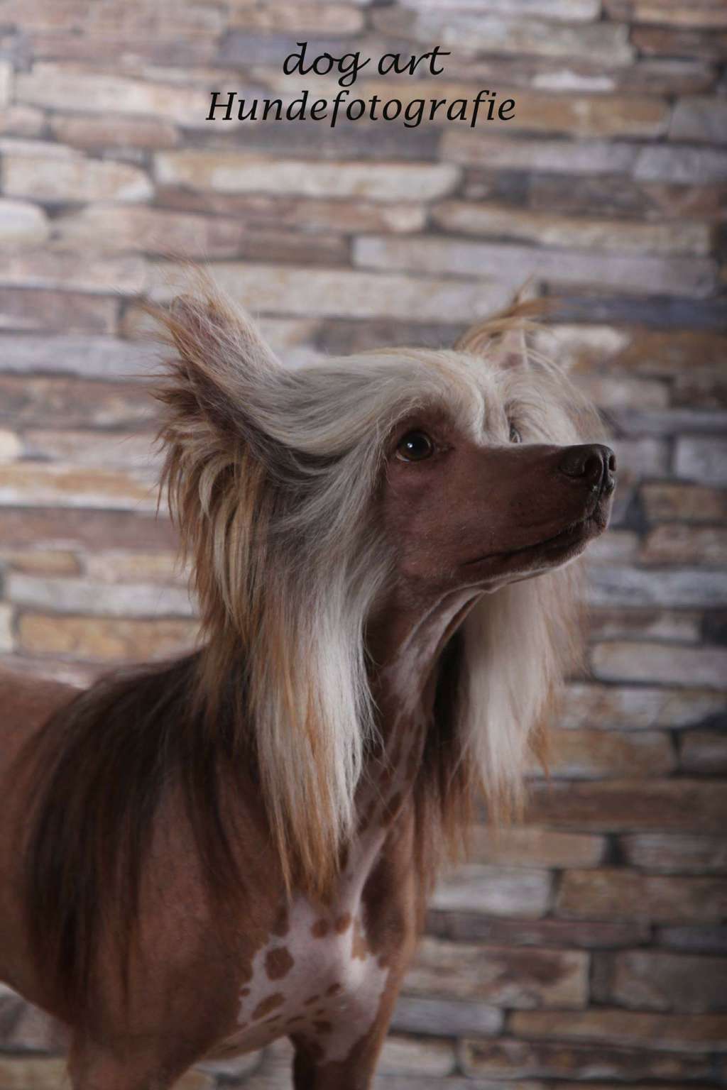 Jekadi's Bloodmoon Number One