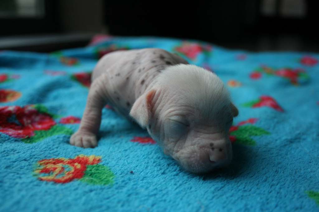 Dresscode-Zero On the Right Spot