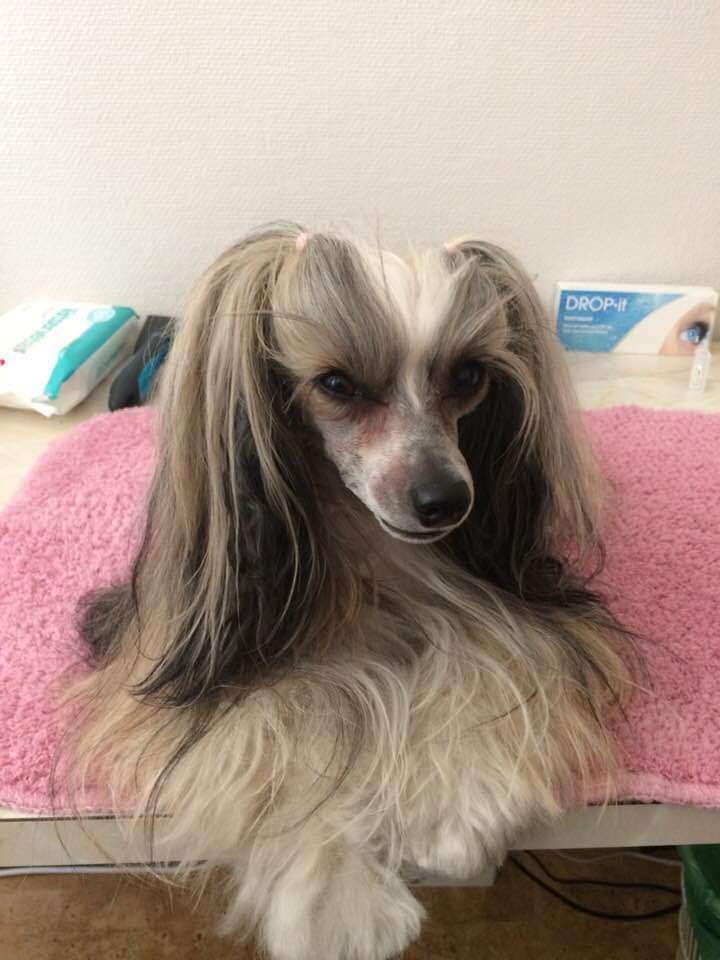 Desireme Never Forget You