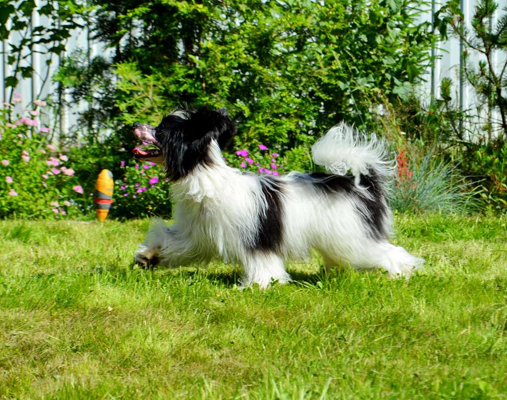 Etno Spirit  Lighting Up