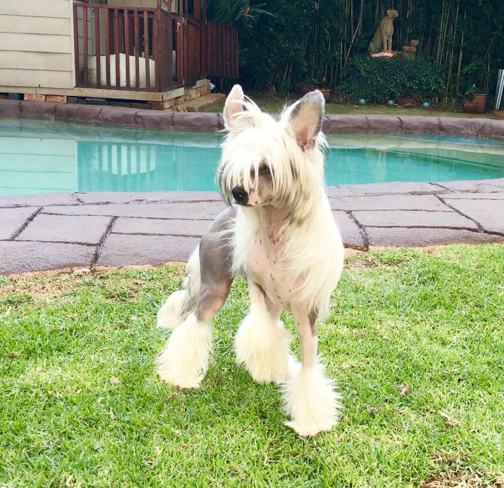 WaterSeaRose von Shinbashi