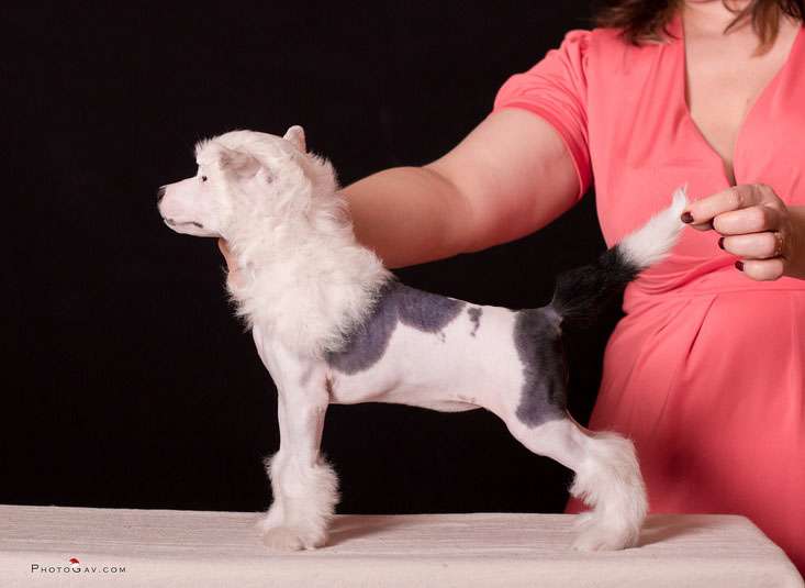 Grand Sunlife  Yasmina