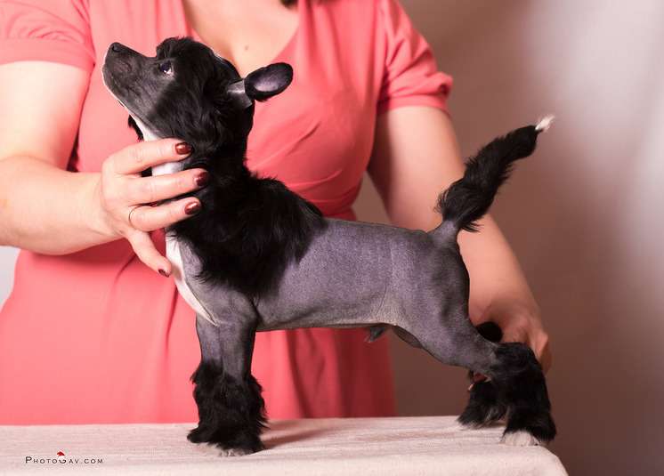 Grand Sunlife  Yan' Chi