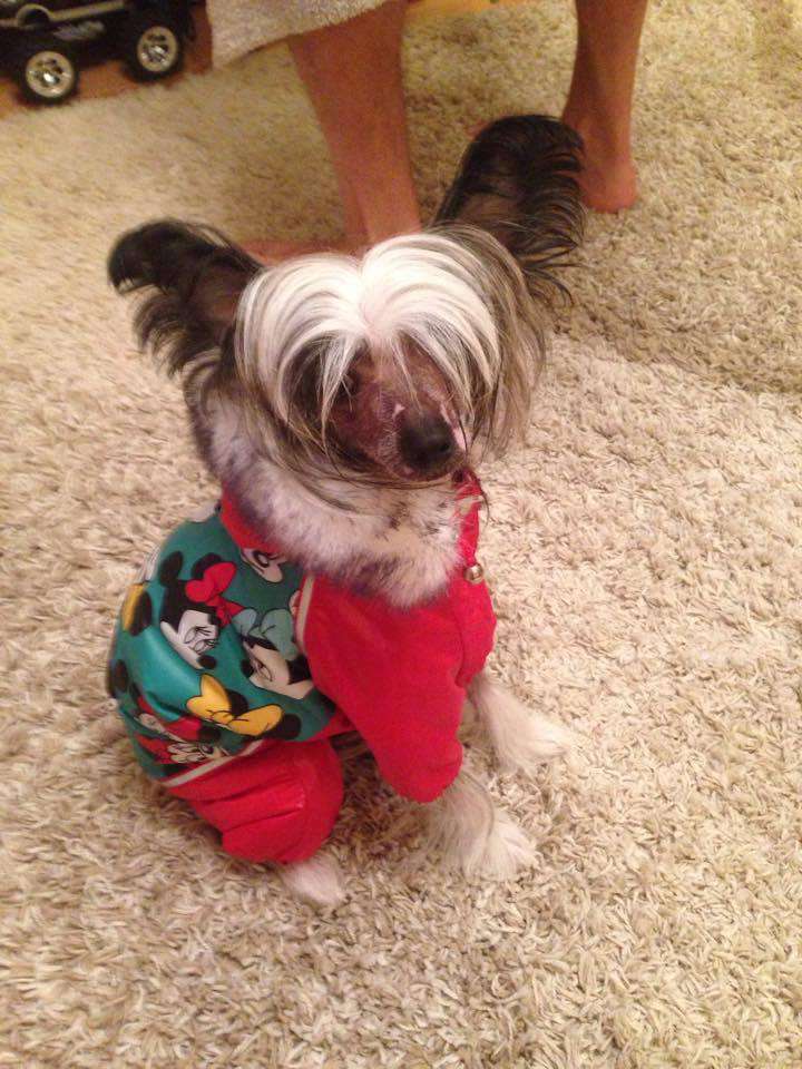 Anda Frelsis Iberiya