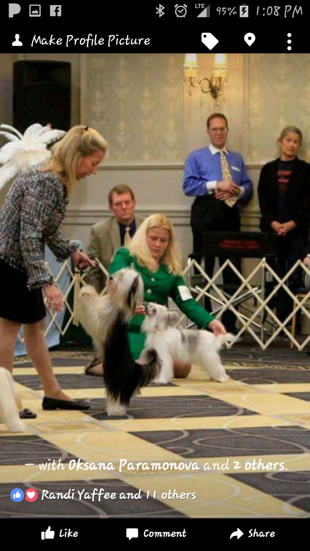 Divine's Go For Broke